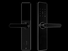 青松沃德-Wi-Fi 指紋鎖家用防盜門智能門鎖密碼鎖刷卡電子鎖 防磁干擾 防撬 L9-WT (不含鎖體，鎖體需另購）